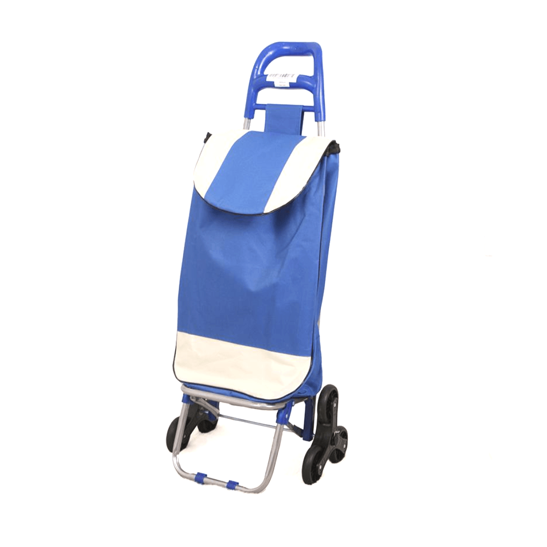 Carrito de Compras de Mercado 6 Ruedas