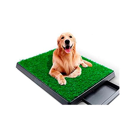 image-5612ea478bb342e8a9ca608bfa9999d3 image-5612ea478bb342e8a9ca608bfa9999d3