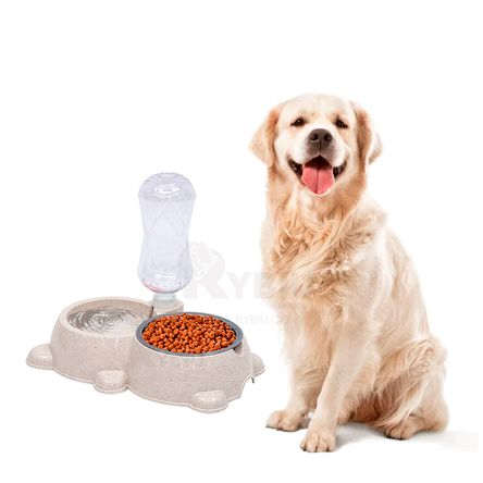 image-c802ecb687d240c3a69af0b1968dbcb2 image-c802ecb687d240c3a69af0b1968dbcb2