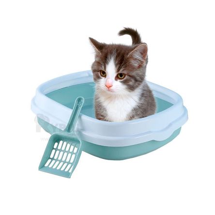 image-05385a1a9e4d452283cc9f174779a115 image-05385a1a9e4d452283cc9f174779a115