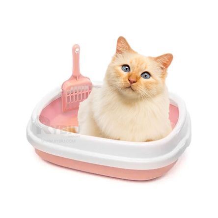 image-d6e5aa1906c84cb48890b1fa1b78e69b image-d6e5aa1906c84cb48890b1fa1b78e69b