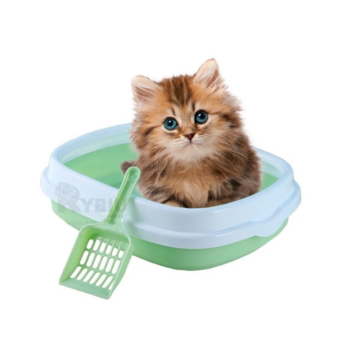 Caja de Arena para Gatos Verde Promart