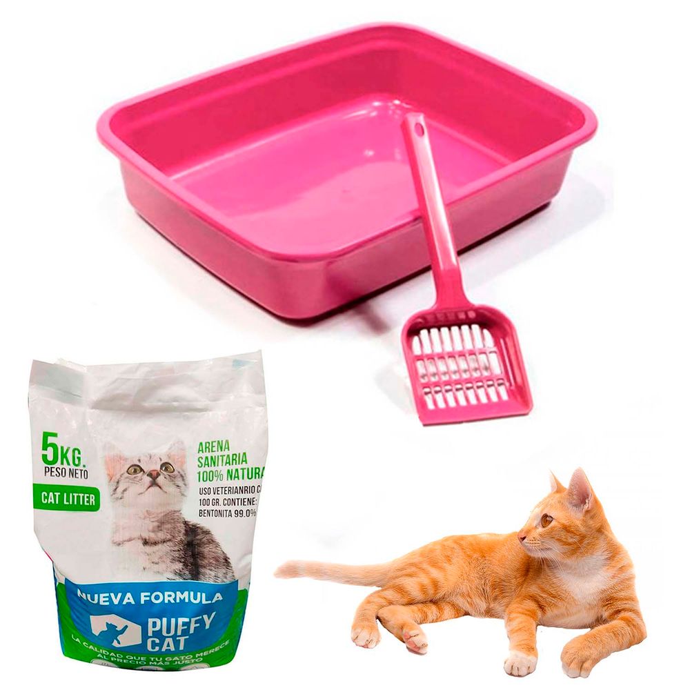 Caja Como Hacer Para Que El Gato Haga Sus Necesidades En Las