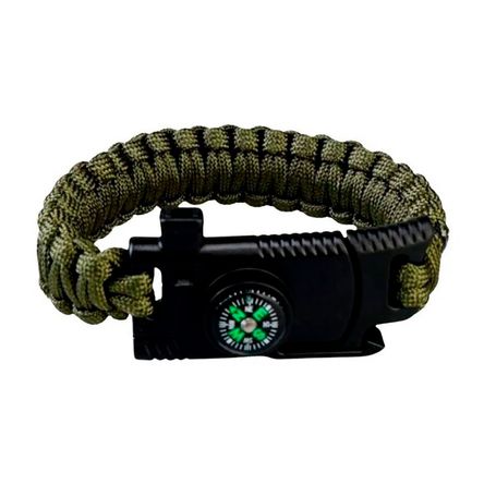 1000242386 1000242386