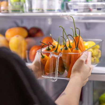 image-46656898f164495fab81cc1f72ecea97 image-46656898f164495fab81cc1f72ecea97