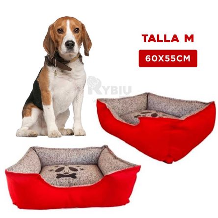 imageUrl_2 imageUrl_2