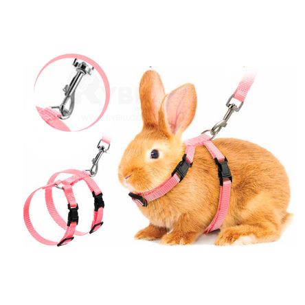 imageUrl_2 imageUrl_2