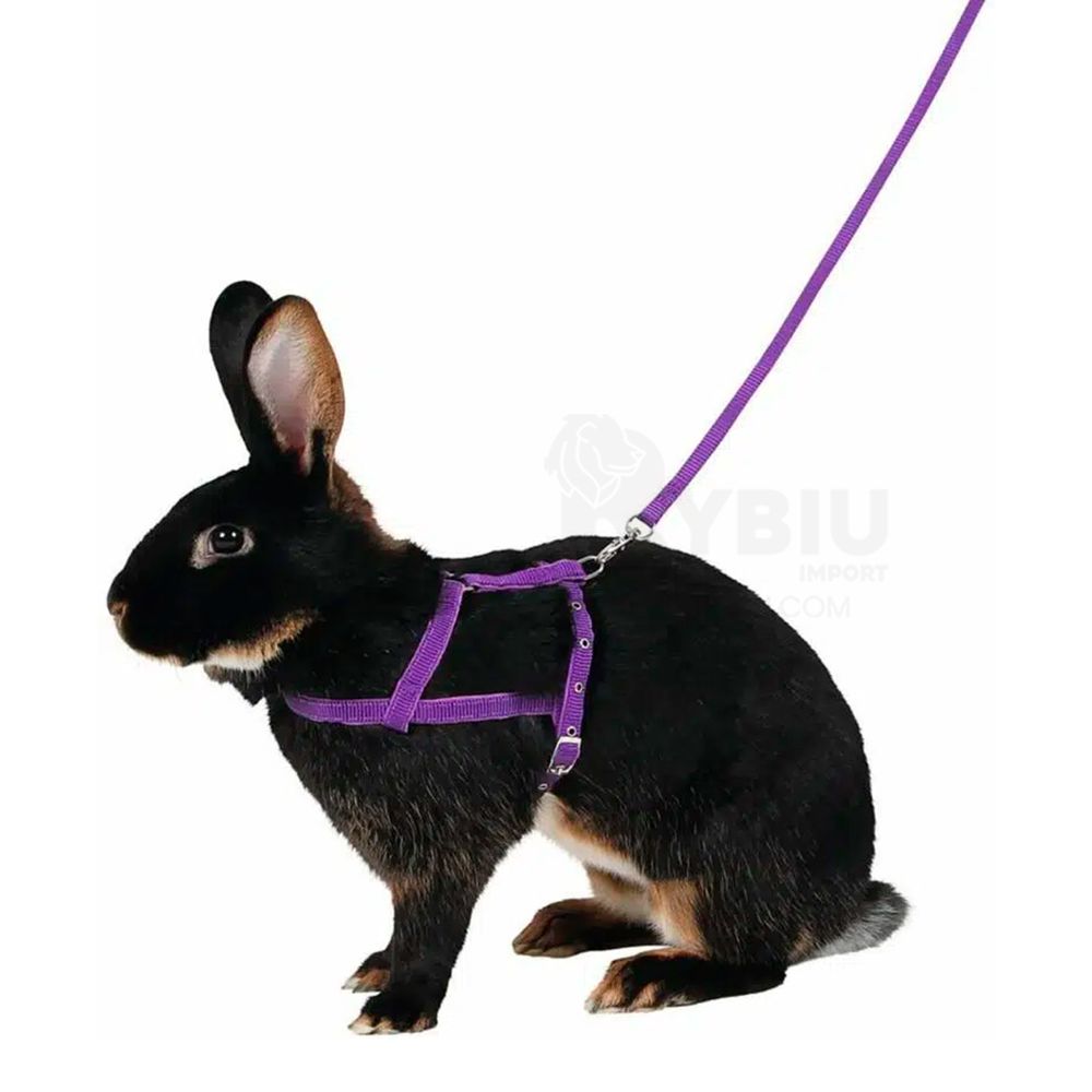 imageUrl_2 imageUrl_2