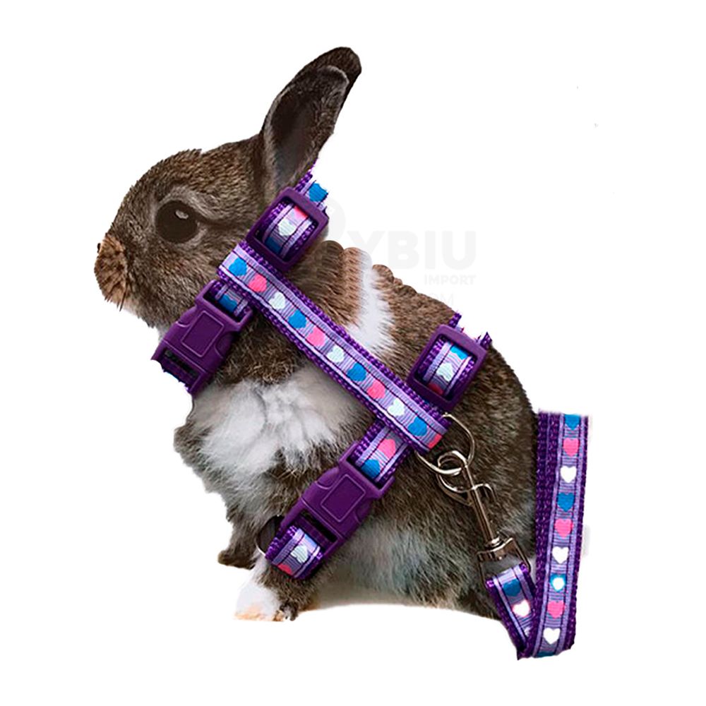 imageUrl_2 imageUrl_2