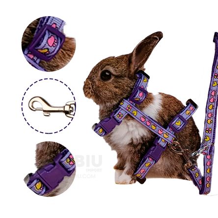 imageUrl_2 imageUrl_2