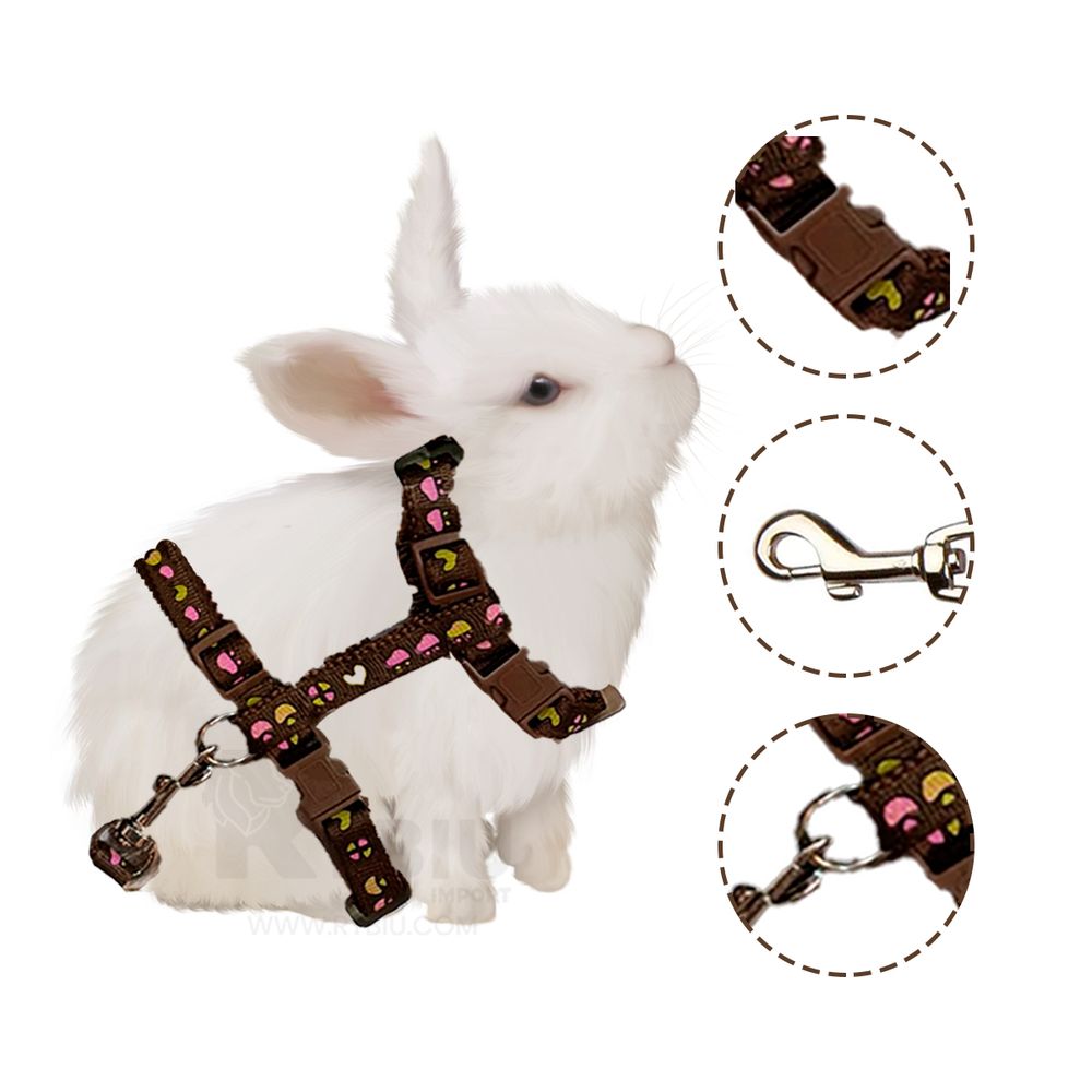 imageUrl_2 imageUrl_2