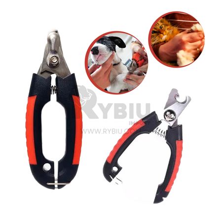 imageUrl_2 imageUrl_2