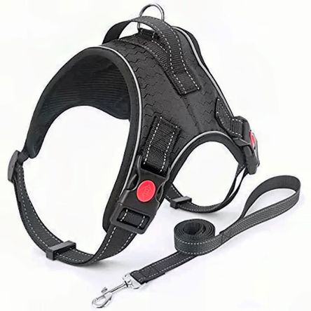 image-4393f989343c49b19a5967e2af08e988 image-4393f989343c49b19a5967e2af08e988