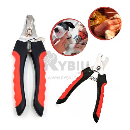 imageUrl_2 imageUrl_2