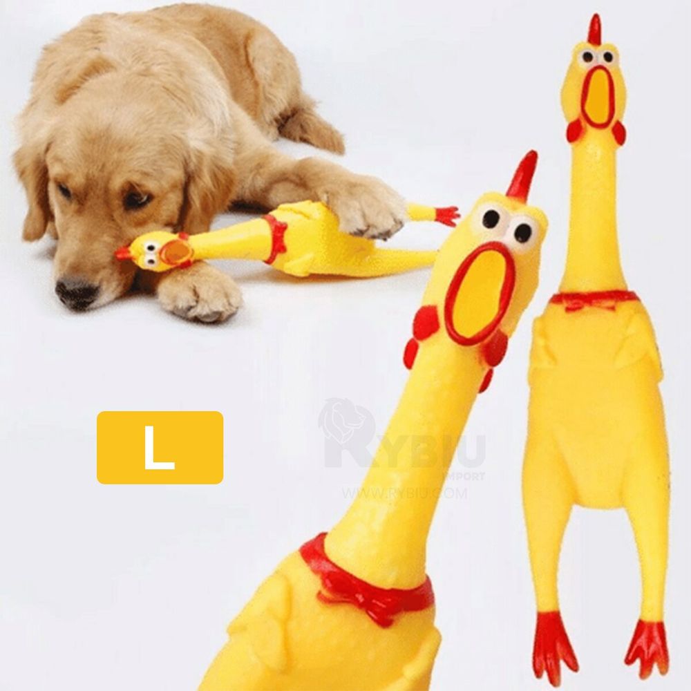 imageUrl_2 imageUrl_2