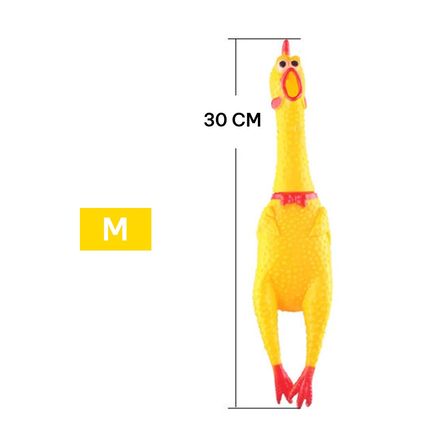 imageUrl_2 imageUrl_2