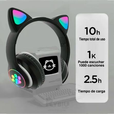 imageUrl_2 imageUrl_2