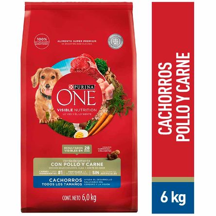 image-bd4bedad1c074aa4bd5b80a1e55dd782 image-bd4bedad1c074aa4bd5b80a1e55dd782