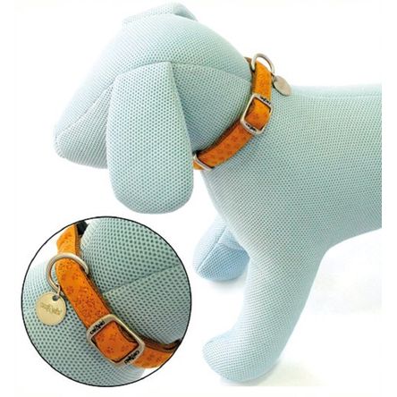 imageUrl_1 imageUrl_1