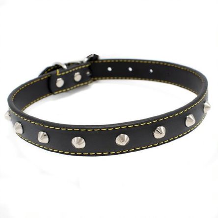 imageUrl_2 imageUrl_2