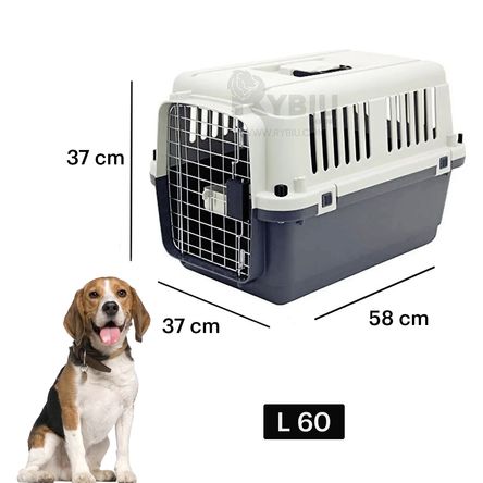 imageUrl_2 imageUrl_2