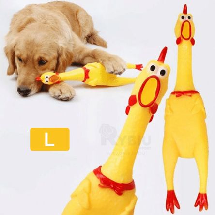 imageUrl_2 imageUrl_2