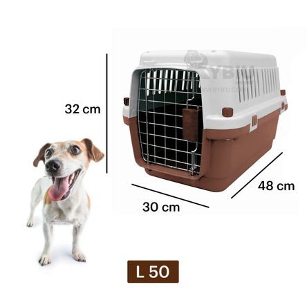 imageUrl_2 imageUrl_2