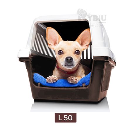 imageUrl_2 imageUrl_2