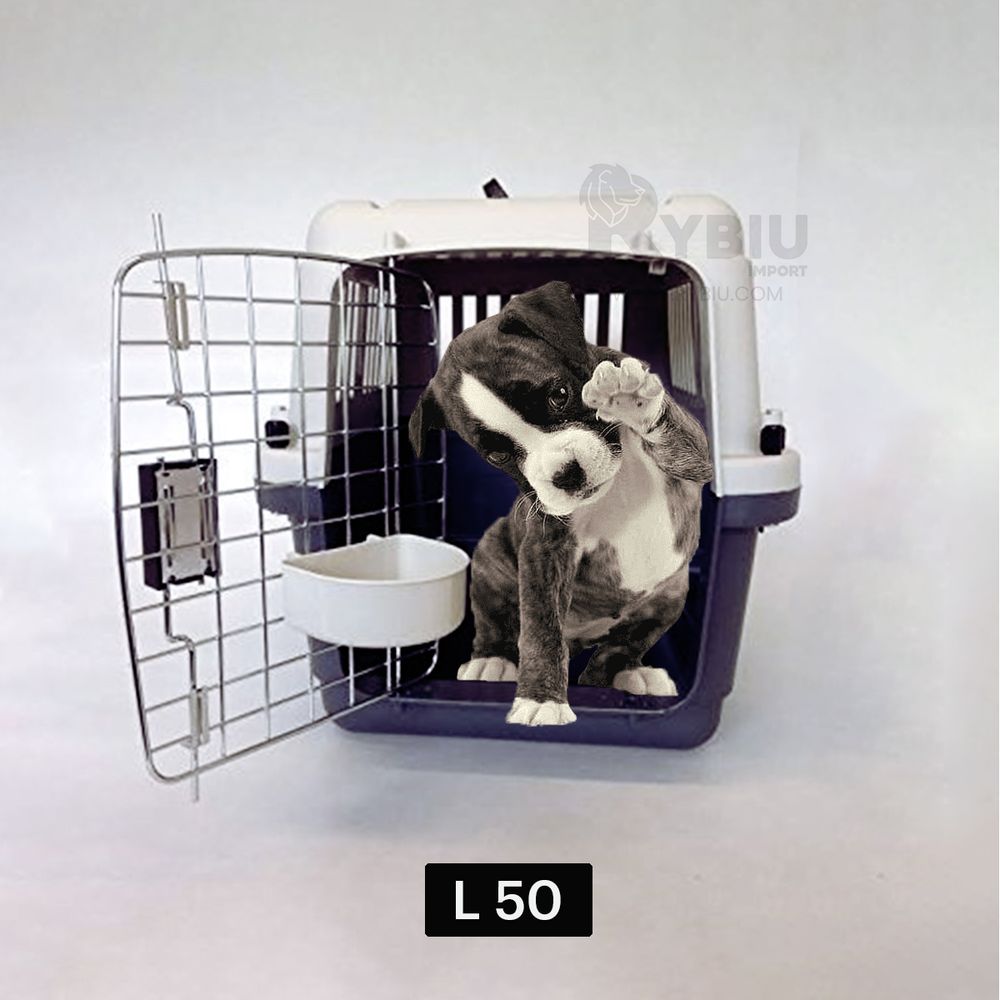 imageUrl_2 imageUrl_2