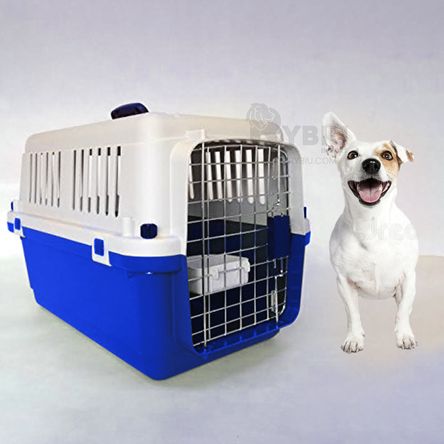 imageUrl_2 imageUrl_2