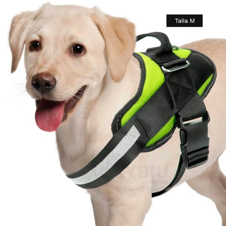 imageUrl_2 imageUrl_2