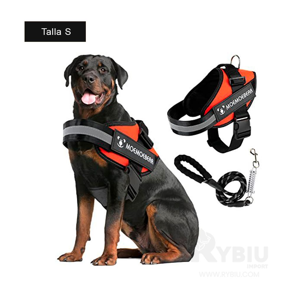 imageUrl_2 imageUrl_2