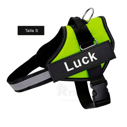 imageUrl_2 imageUrl_2