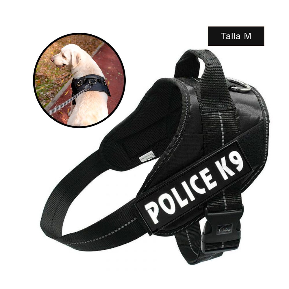 imageUrl_2 imageUrl_2