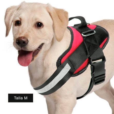 imageUrl_2 imageUrl_2