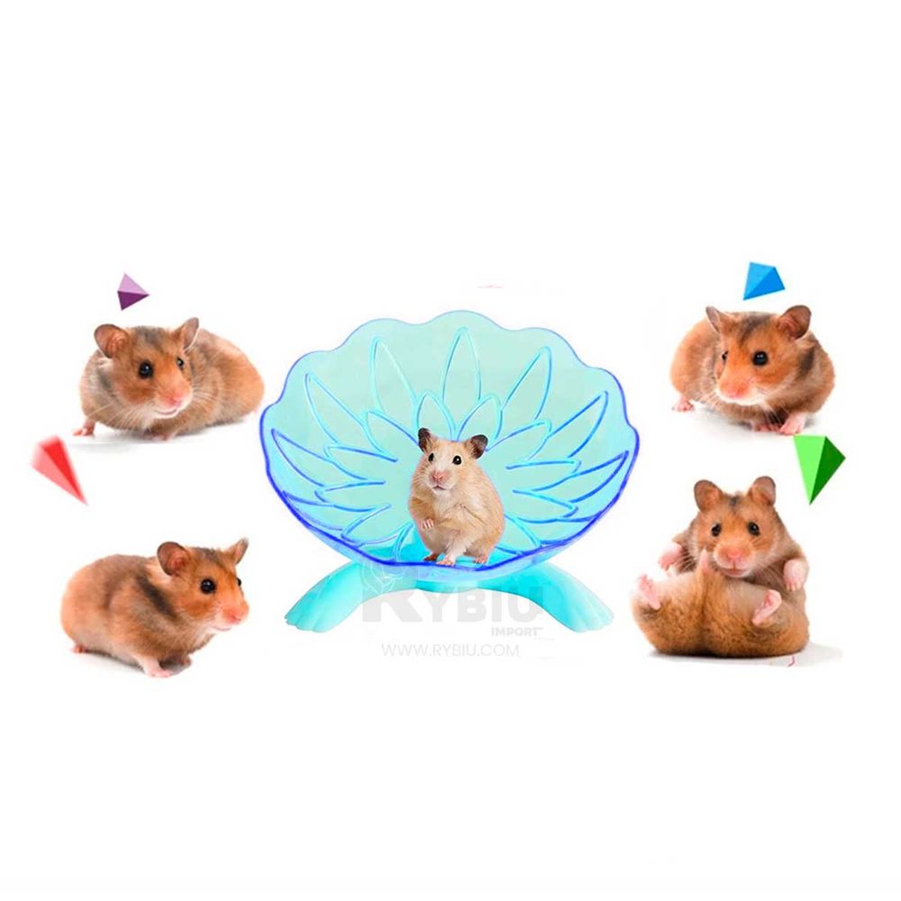 imageUrl_2 imageUrl_2