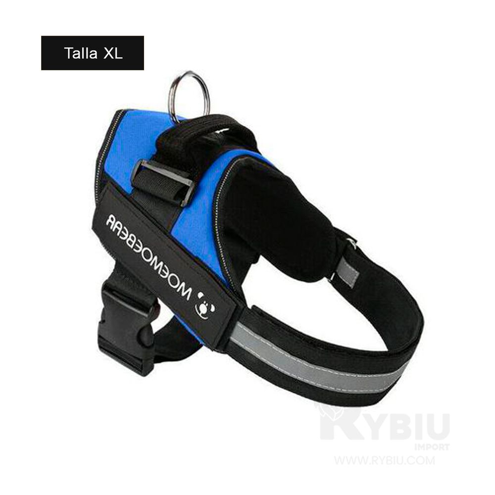 imageUrl_2 imageUrl_2