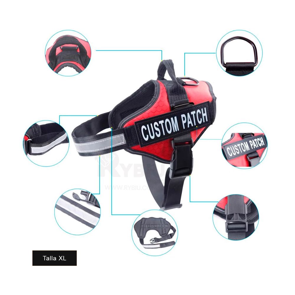 imageUrl_2 imageUrl_2