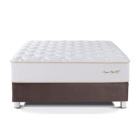 Cama Box Tarima PARAISO Royal Elizabeth Chocolate Queen +2 Almohadas Viscoelásticas