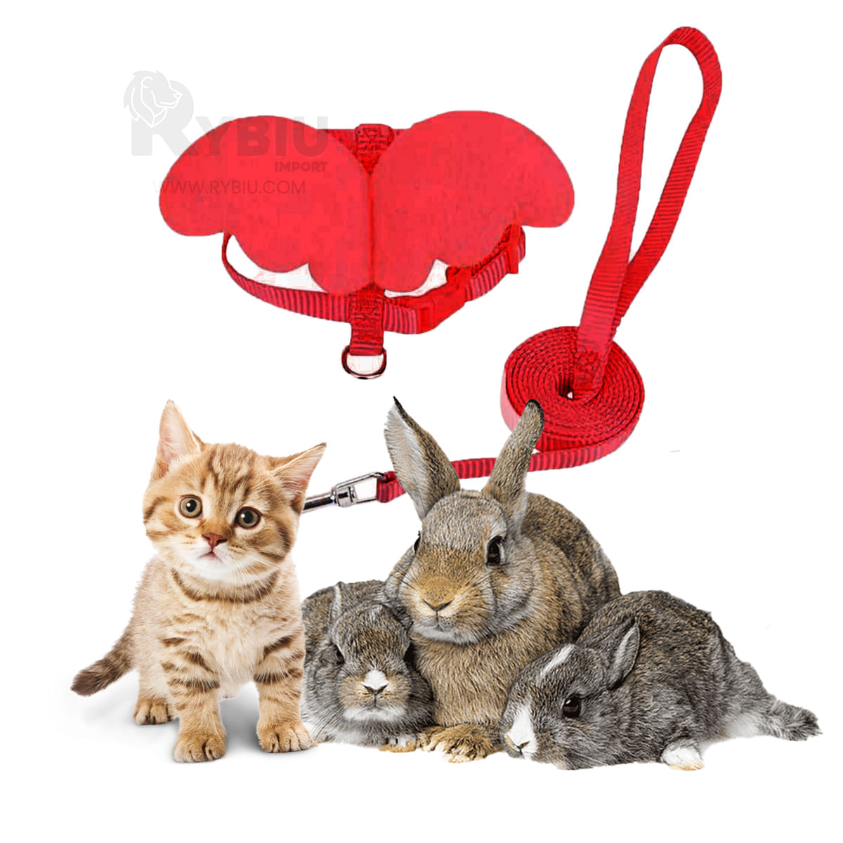 Correa con Alitas Para Conejo