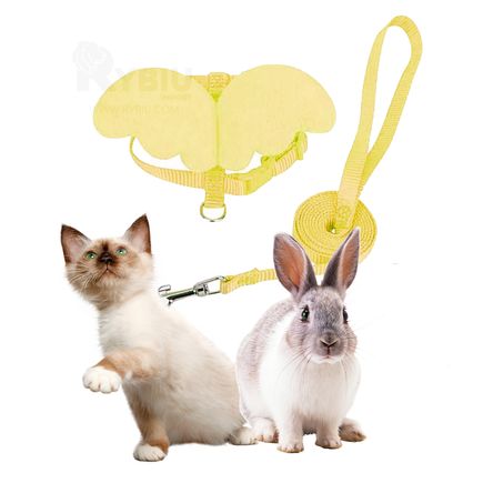 imageUrl_2 imageUrl_2