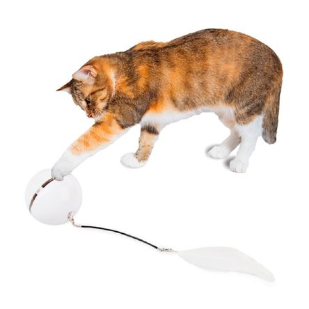 imageUrl_2 imageUrl_2