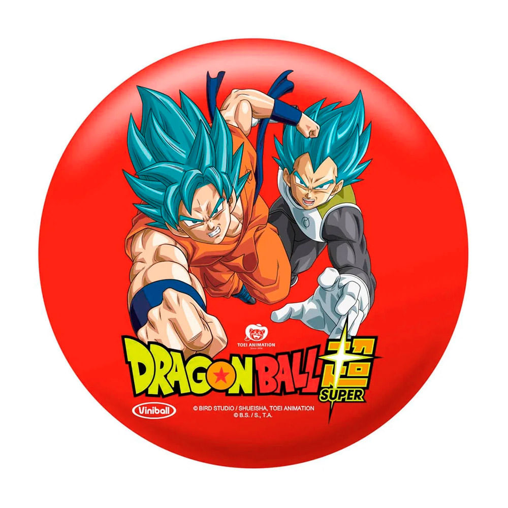 1000218237 1000218237