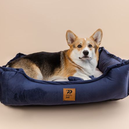 image-48dacbfa790145f7a48a2d45cdc49b79 image-48dacbfa790145f7a48a2d45cdc49b79