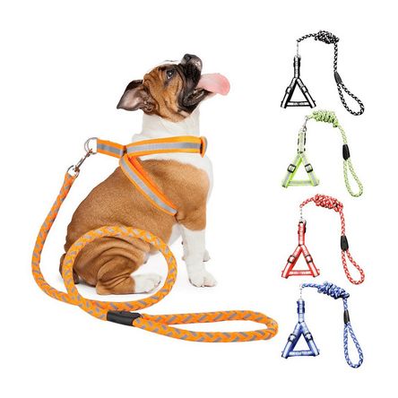 1000326801 1000326801