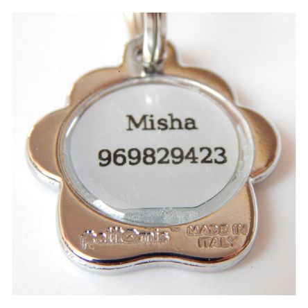 imageUrl_2 imageUrl_2