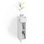 imageUrl_2