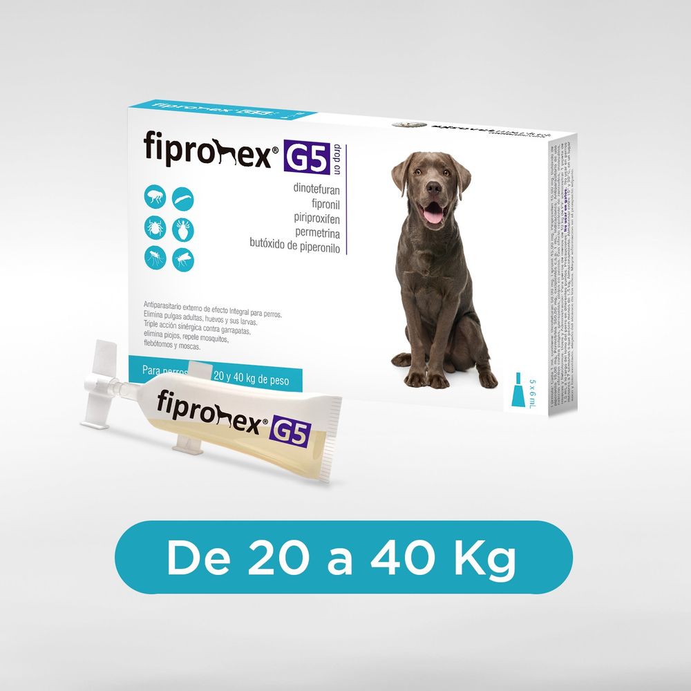 image-160d5ff856e54d798436dd141c93c1d8 image-160d5ff856e54d798436dd141c93c1d8