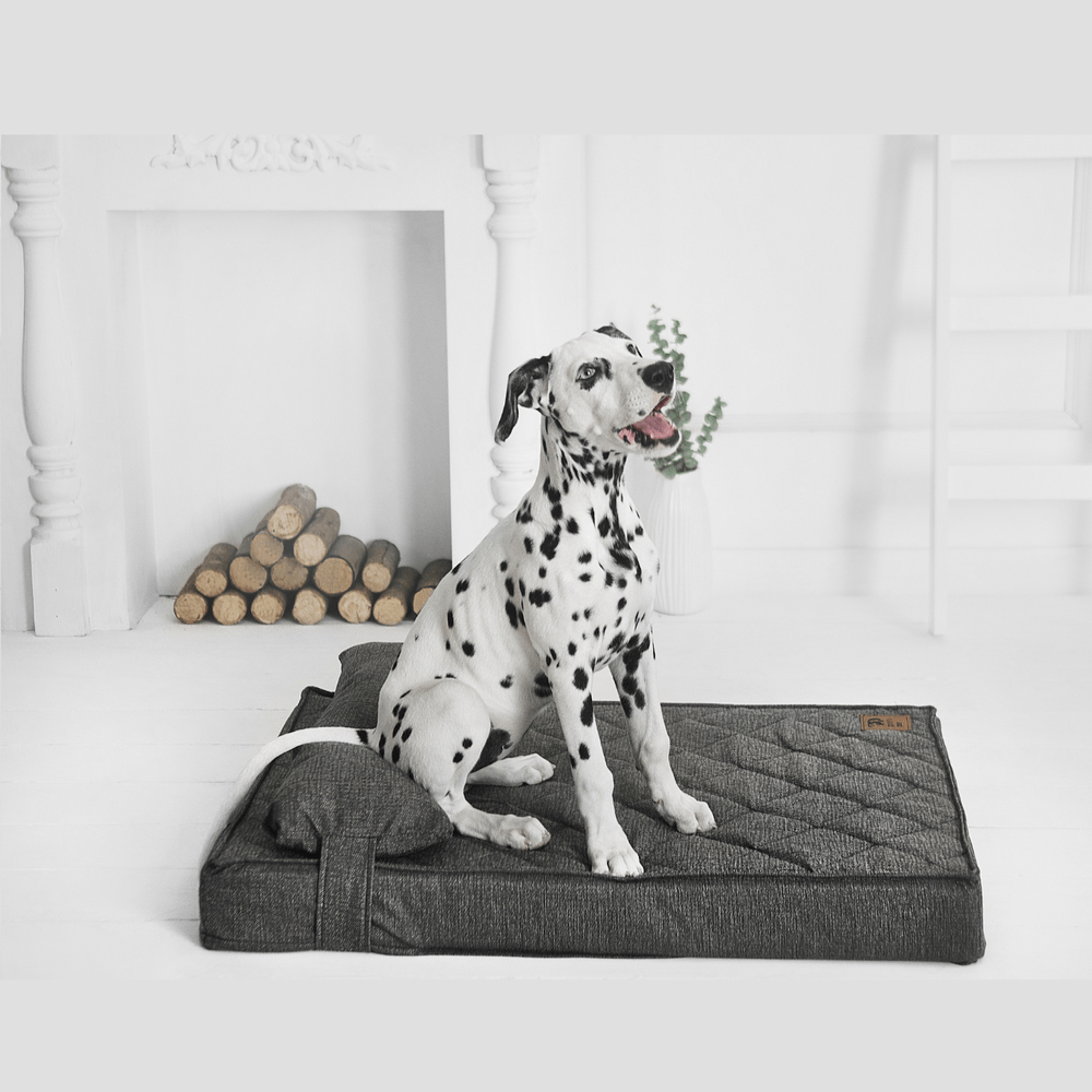 image-c552ad394d4146bd8eae9ca28f69a067 image-c552ad394d4146bd8eae9ca28f69a067