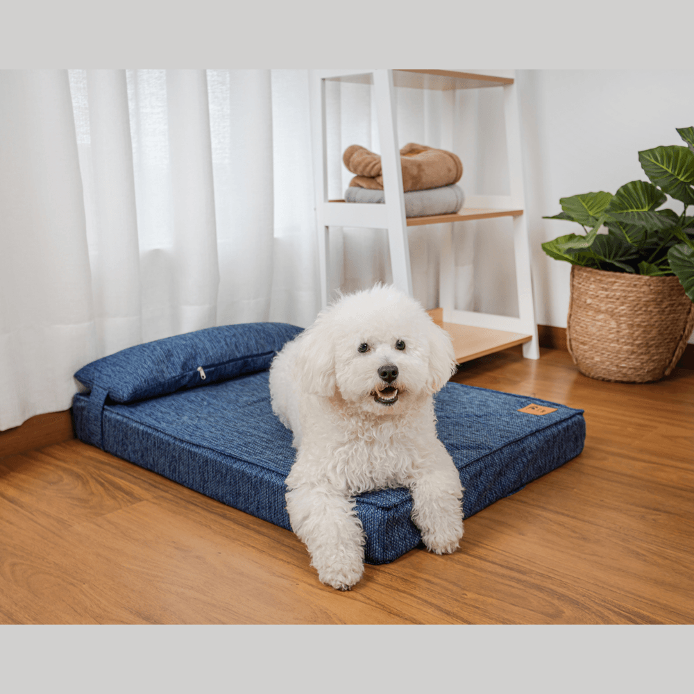 image-e50999db407f40f0a546db8743f1bd66 image-e50999db407f40f0a546db8743f1bd66